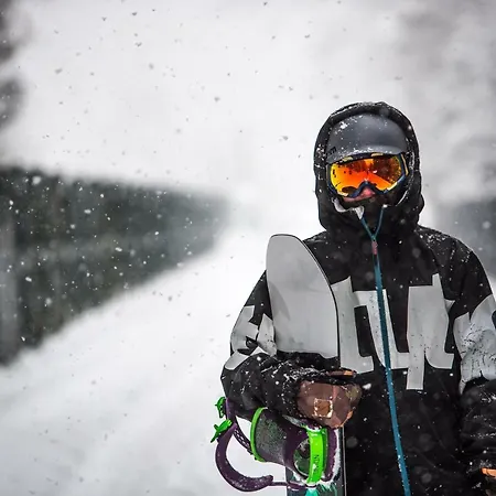 Δωμάτια σε οικογενειακή κατοικία Bukowianka Muszyna