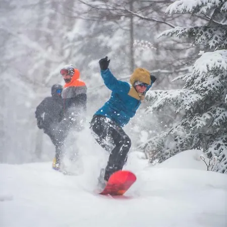 Δωμάτια σε οικογενειακή κατοικία Bukowianka Muszyna